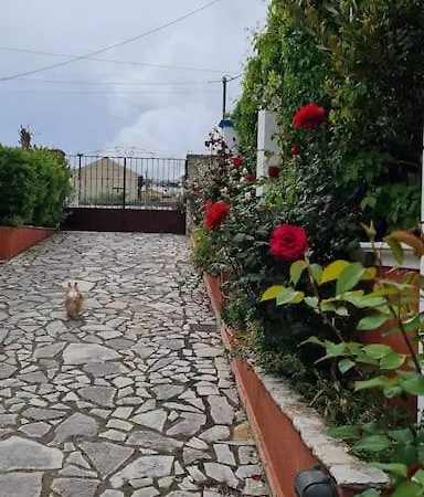 فيلة Agrampeli *