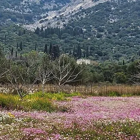 فيلة Agrampeli Valsamata
